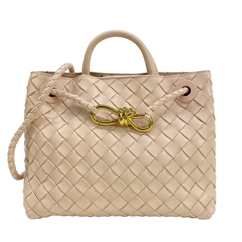 Bottega Veneta andiamo Handbag
